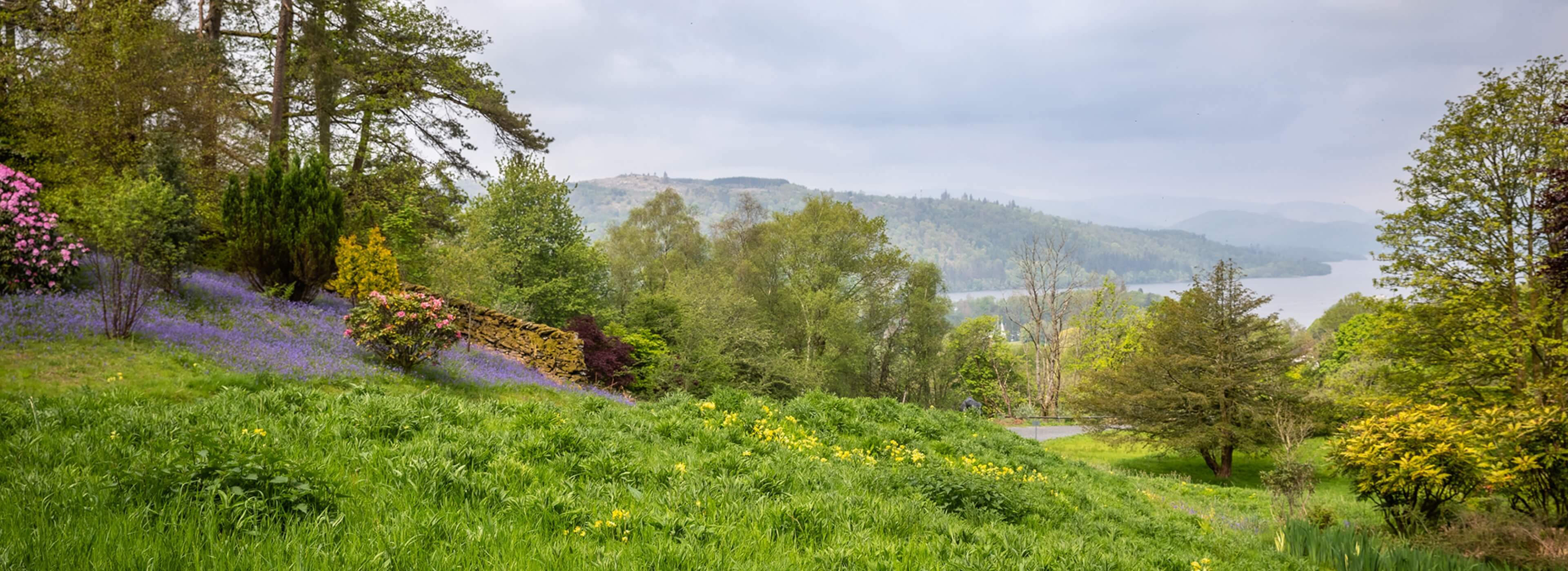 67fcef8cdcc2d-Linthwaite Weddings - Vinea & Marcel (6)@2x